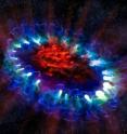 This artist's illustration of supernova 1987A reveals the cold, inner regions of the exploded star's remnants (in red) where tremendous amounts of dust were detected and imaged by ALMA. This inner region is contrasted with the outer shell (lacy white and blue circles), where the energy from the supernova is colliding with the envelope of gas ejected from the star prior to its powerful detonation.