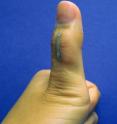 A sensor based on silver nanowires is mounted onto a thumb joint to monitor the skin strain associated with thumb flexing. The sensor shows good wearability and large-strain sensing capability.