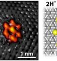 On the left, a scanning tunneling microscope image captures the bright shape of the moly sulfide nanocluster on a graphite surface. The grey spots are carbon atoms. Together the moly sulfide and graphite make the electrode. The diagram on the right shows how two positive hydrogen ions gain electrons through a chemical reaction at the moly sulfide nanocluster to form pure molecular hydrogen.