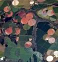 This image shows agricultural lands in Minas Gerais, Brazil.