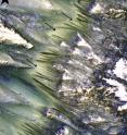 Dark flow-like features called Recurring Slope Lineae emanating from bedrock exposures at Palikir crater on Mars during southern summer. These flows are observed to form and grow during warm seasons when surface temperature is hot enough for salty ice to melt, and fade or completely disappear in cold season. Arrows point to bright, smooth fans left behind by flows.