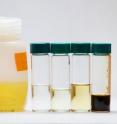 The team produced equivalents of (from left to right, in vials) gasoline, diesel #1, diesel #2, and vacuum gas oil.