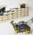 The TERMES robots can carry bricks, build staircases, and climb them to add bricks to a structure, following low-level rules to independently complete a construction project.