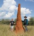 Harvard graduate student Kirstin Petersen and staff scientist Justin Werfel admire a termite mound in Namibia.