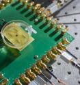A single-chip catheter-based device that would provide forward-looking, real-time, three-dimensional imaging from inside the heart, coronary arteries and peripheral blood vessels is shown being tested.