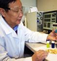Georgia Tech professor Yulin Deng is shown with an experimental setup that demonstrated the operation of a new solar-induced direct biomass-to-electricity hybrid fuel cell.