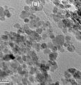 This is a view of unconfined, uncoated iron-oxide nanoparticles as seen via a transmission electron microscope. These nanoparticles, when heated, can be applied to cancer cells in order to kill those cells.