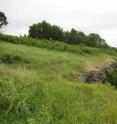 This is a prairie hill remnant.