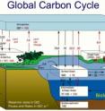 This graphic shows the global carbon budget with black arrows and values reflecting the natural carbon cycle and red the anthropogenic perturbation.