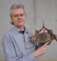 This is author Dr. Jelle Reumer holding one of the cervical vertebrae and indicating the location of the cervical rib.