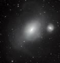 This new image from the MPG/ESO 2.2-metre telescope at ESO's La Silla Observatory in Chile shows a contrasting pair of galaxies: NGC 1316, and its smaller companion NGC 1317 (right). Although NGC 1317 seems to have had a peaceful existence, its larger neighbor bears the scars of earlier mergers with other galaxies.