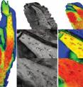 To digitally reconstruct the site as it was pre- excavation, scientists scanned 17 photos, developed a model and compared the model to maps drawn by Roland Bird.