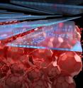 This shows molecules in face-on orientation inside organic solar cell.