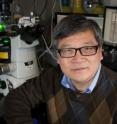 Cheng Zhu, a Regents' professor in the Wallace H. Coulter Department of Biomedical Engineering at Georgia Tech and Emory University, is shown with biomembrane force probe equipment.