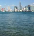 The skyline of downtown Miami along Biscayne Bay: What will it look like in 20, 50, 100 years?