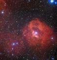 This new image from the Wide Field Imager on the MPG/ESO 2.2-metre telescope at the La Silla Observatory in Chile reveals a cloud of hydrogen and newborn stars called Gum 41. In the middle of this little-known nebula, brilliant hot young stars emit energetic radiation that causes the surrounding hydrogen to glow with a characteristic red hue.
