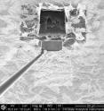 Research from North Carolina State University finds that impurities can hurt performance -- or possibly provide benefits -- in the key superconductive material Bi2212 (shown here), which is expected to find use in a host of applications, including future particle colliders. The size of the impurities determines whether they help or hinder the material's performance.