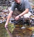 Researcher Kevin McGuire takes a water sample from a forest stream.