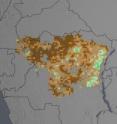 In the Congo rainforest, a browning trend (brown) dominates smaller areas that show a greening trend (green) during April, May and June each year from 2000 to 2012.