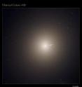 The monstrous elliptical galaxy M87 is the home of several trillion stars, a supermassive black hole, and a family of 15,000 globular star clusters. One of those globular clusters, HVGC-1, is escaping the galaxy after being flung outward at tremendous speed.