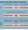 This is an illustration on understanding quantum boundary phase transitions.