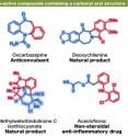 This shows examples of bio-active compounds containing a carbonyl aryl structure.