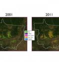 Researchers from Brown University tracked the expansion of agriculture in the Brazilian state of Mato Grosso  over the last decade. Their work suggests that ideal land for agriculture in the state may be started to dwindle. That scarcity of land may have contributed to a slowing in deforestation over the last decade.