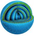 University of Pennsylvania researchers have shown that a certain kind of dendrimer, a molecule that features tree-like branches, offers a simple way of creating vesicles and tailoring their diameter and thickness. Moreover, these dendrimer-based vesicles self-assemble with concentric layers of membranes, much like an onion. Each layer of membrane contains two sets of dendrimers sandwiched together, arranged so their water-loving branches (colored blue) face outward and their water-hating branches (green) face inward. This arrangement provides a stable, water-soluble package for the delivery of drugs, separate doses of which can be nestled between each layer.
