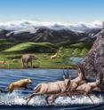 This is an artist's reconstruction of the Zanda fauna from the Pliocene about 5-2.5 million years ago. (artist: Julie Selan)