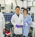 A research team that included (from left) Josh Heazlewood,  Jeemeng Lao and Ai Oikawa, developed the JBEI GT Collection to provide a functional genomic resource for advanced biofuels research.