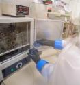 Anca Delgado is a researcher in the Swette Center for Environmental Biotechnology at Arizona State University's Biodesign Institute.