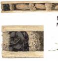 This image depicts a 'bone house' wasp nest protection overview