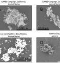 These images show typical soot superagregattes observed with an electron microscope in wildfire smoke samples collected from three fires in Northern California, New Mexico and Mexico City.