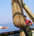 This is a fisherman opening the trawler's net.