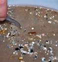 This is an example of microplastics pulled from the ocean