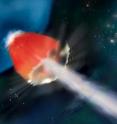 In this artist's rendering of GRB 130925A, a sheath of hot, X-ray-emitting gas (red) surrounds a particle jet (white) blasting through the star's surface at nearly the speed of light. The source may have been a metal-poor blue supergiant.