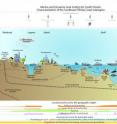 The MARES infographic illustrates the myriad of natural and societal factors considered when setting goals for South Florida's coastal ecosystem management.
