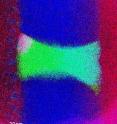 Indium arsenide (green-cyan) is perfectly integrated into the silicon nanowire (blue). (Energy-dispersive X-ray spectroscopy).