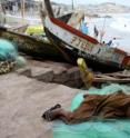 A child grabs sleep wherever possible after a long day of labor in West Africa's struggling fishery.