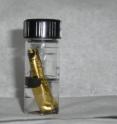 For their experiments, the team needed high pressures and high temperatures in a chemically inert container. To get these conditions, the reactants are welded into a pure gold capsule and placed in a pressure vessel, inside a furnace. When an experiment is done, the gold capsule is frozen in liquid nitrogen to stop the reaction, opened and allowed to thaw while submerged in dichloromethane to extract the organic products.