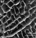 An electron microscope image of foam created at Rice University shows layers of graphene oxide stacked to form a three-dimensional structure with the help of hexagonal boron nitride linkers.