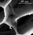 An electron microscope image shows a connecting link in foam made of graphene oxide and hexagonal boron nitride. The tough, ultralight foam was created by materials scientists at Rice University.