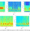 These charts show the spectra of birdsongs.