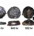 These are optical micrographs of severe corrosion on steel alloy samples exposed to ethanol and acetic acid vapors -- conditions typical of underground gas storage tanks -- after 355 hours, 643 hours, and 932 hours.