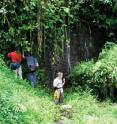 This image depicts Andrew Short, Crystal Maier and Clay McIntosh exploring a natural hygropetric habitat in Costa Rica of <i>Quammenis spectabilis</i>