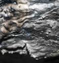 The ceiling in the cave has small drop-like protrusions, which eventually will become dripstones. A dark biofilm of microbial organisms can be seen on the surface.