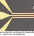 This is a top-down view of broadband, ultra-fast graphene detector capable of detecting terahertz frequencies at room temperature.