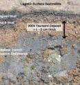 This image shows the lagoon surface sediments.