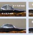 Sixty-one minutes of imbibition and evaporation of a 154 microliter bead of tap water on a 2.3 gram chip of the Union Springs Member of the Marcellus Formation. The drop disappeared in approximately 100 minutes.  The photograph labeled 0 min was taken about 10 seconds after the bead was dropped on the Marcellus chip. Counter-current imbibition is indicated by methane bubbles floating up into the water bead from the Marcellus chip, starting on the left side of the bead at time = 0 min. This experiment was started 5 days after receiving fresh cuttings of the Union Springs from a horizontal well in PA.