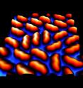 Zigzag picene is more intact than straight pentacene on silver.